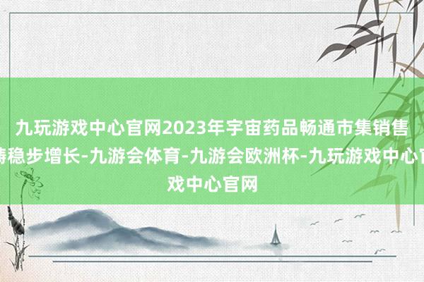 九玩游戏中心官网2023年宇宙药品畅通市集销售范畴稳步增长-九游会体育-九游会欧洲杯-九玩游戏中心官网