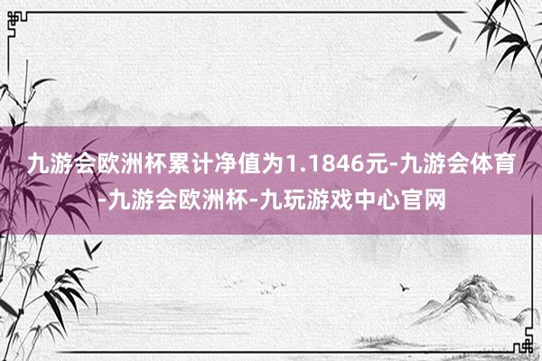 九游会欧洲杯累计净值为1.1846元-九游会体育-九游会欧洲杯-九玩游戏中心官网