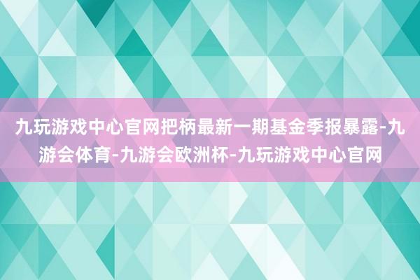 九玩游戏中心官网把柄最新一期基金季报暴露-九游会体育-九游会欧洲杯-九玩游戏中心官网